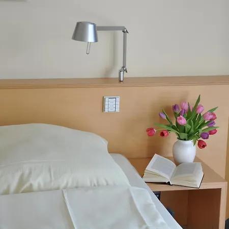 Seminarhotel In Der Manfred-sauer-stiftung 3* Lobbach