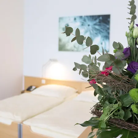 Seminarhotel In Der Manfred-sauer-stiftung Hotel Lobbach