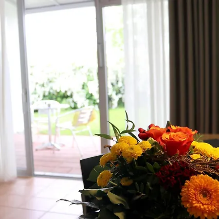 Seminarhotel In Der Manfred-sauer-stiftung 호텔 Lobbach