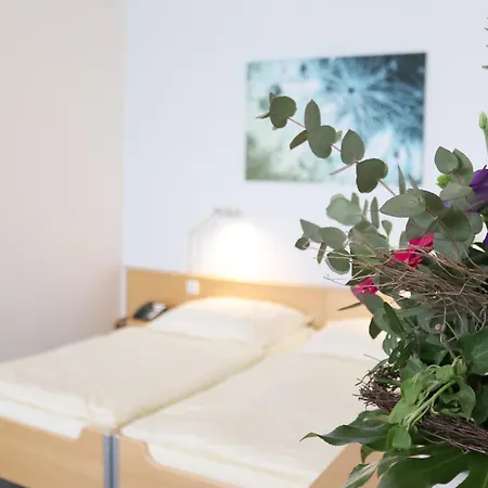 Seminarhotel In Der Manfred-sauer-stiftung 호텔 3*