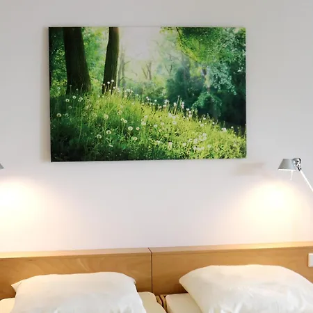 曼弗雷德 - 绍尔基金会研讨会酒店 酒店 3*