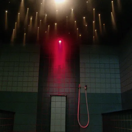 酒店 曼弗雷德 - 绍尔基金会研讨会酒店