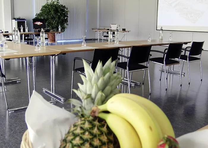 Seminarhotel In Der Manfred-sauer-stiftung Ξενοδοχείο Lobbach